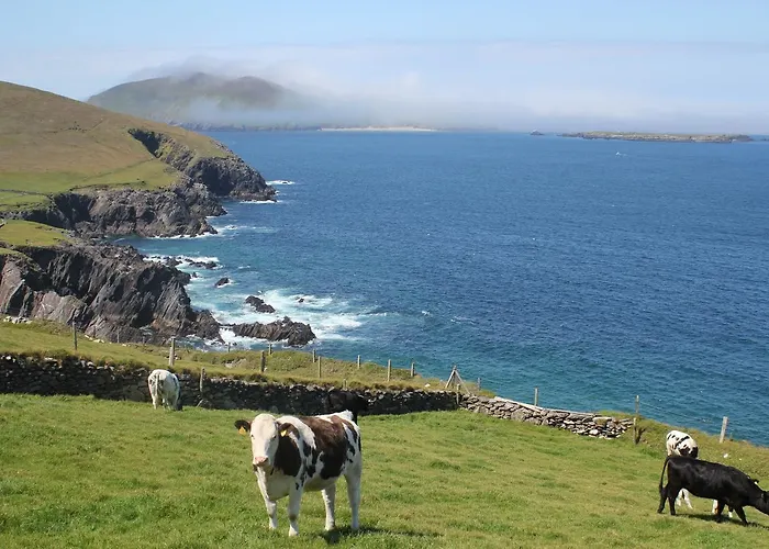 Casa vacanze Fairfield No 13 By Trident Homes Dingle